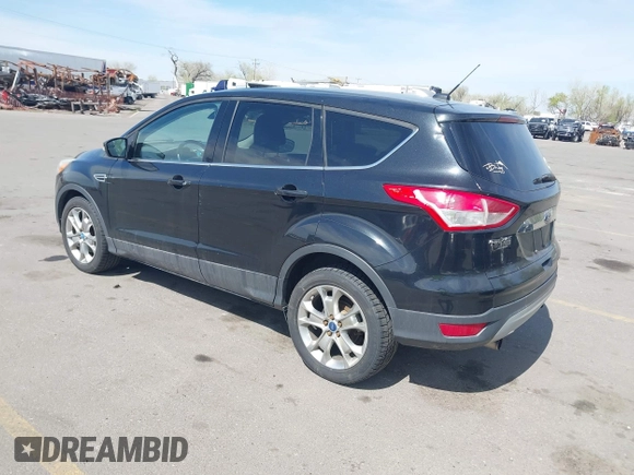2013 Ford Escape SEL with VIN 1FMCU0H98DUB16061, listed as a IAAI auction lot 42046687 with 204,913 mi miles. Bid and sale history available at carsss.com. Image 3.
