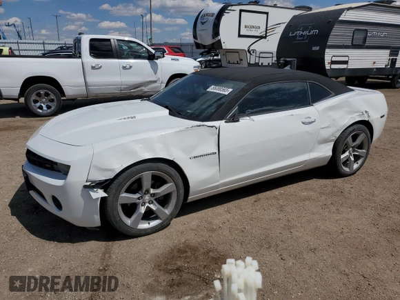 2011 Chevrolet Camaro 2LT with VIN 2G1FC1ED4B9103796, listed as a Copart auction lot 58088565 with 125,916 mi miles and Salvage title. Bid and sale history available at DreamBid. Image 1.