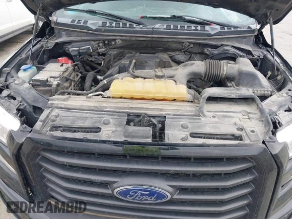 2017 Ford F-150 XL with VIN 1FTEW1EP1HFA58630, listed as a IAAI auction lot 42526747 with 182,514 mi miles and . Bid and sale history available at DreamBid. Image 10.