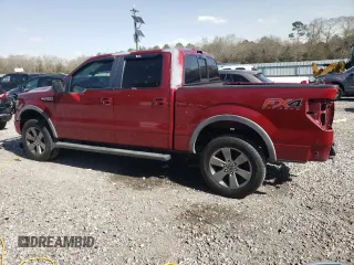 2013 Ford F-150 XL with VIN 1FTFW1EF3DFD45117, listed as a Copart auction lot 49135555 with 81,983 mi miles and Salvage Title. Bid and sale history available at carsss.com. Image 2.