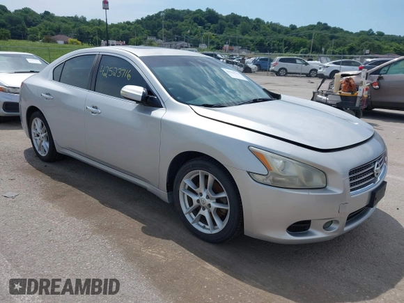 2009 Nissan Maxima S with VIN 1N4AA51E29C853185, listed as a IAAI auction lot 42523716 with 146,957 mi miles and . Bid and sale history available at DreamBid. Image 1.