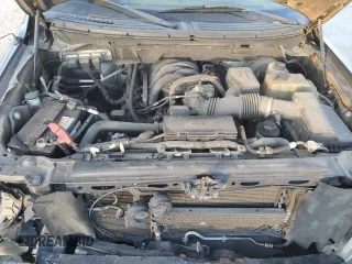 2009 Ford F-150 XL with VIN 1FTRW12869FA73172, listed as a Copart auction lot 41407375 with 215,230 mi miles and Salvage Title. Bid and sale history available at carsss.com. Image 11.