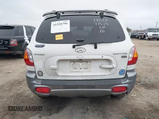 2003 Hyundai Santa Fe GLS with VIN KM8SC13E33U520344, listed as a IAAI auction lot 41528796 with 246,923 mi miles. Bid and sale history available at carsss.com. Image 16.
