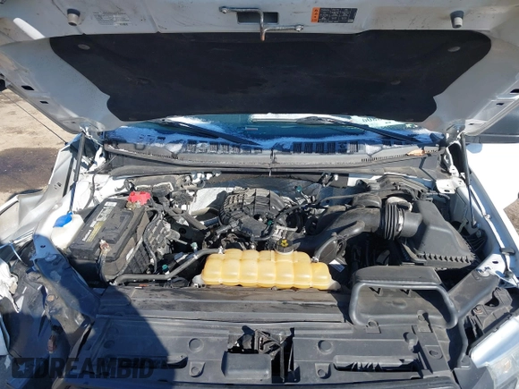 2017 Ford F-150 XL with VIN 1FTEX1E84HFB03694, listed as a IAAI auction lot 41388809 with 217,498 mi miles. Bid and sale history available at carsss.com. Image 10.
