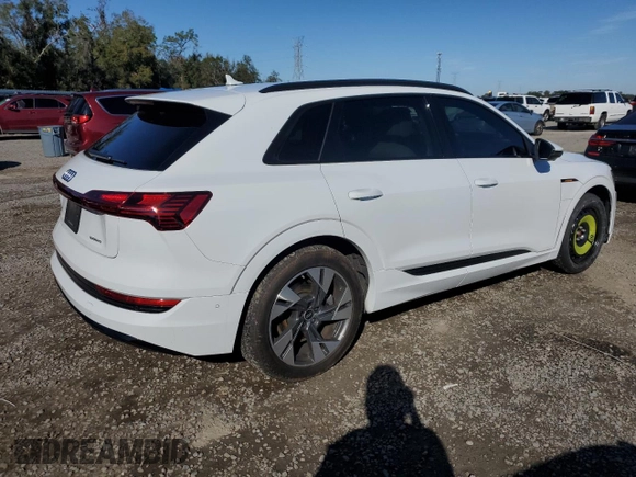 2022 Audi e-tron Premium with VIN WA1AAAGE1NB019221, listed as a Copart auction lot 41872005 with 47,890 mi miles and Salvage Title. Bid and sale history available at DreamBid. Image 3.