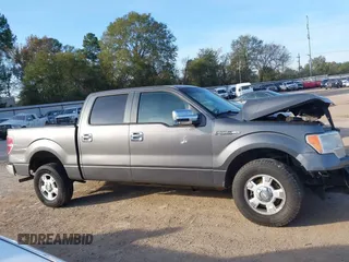 2010 Ford F-150 XL with VIN 1FTEW1C88AFA71456, listed as a IAAI auction lot 40961828 with 219,113 mi miles. Bid and sale history available at carsss.com. Image 13.