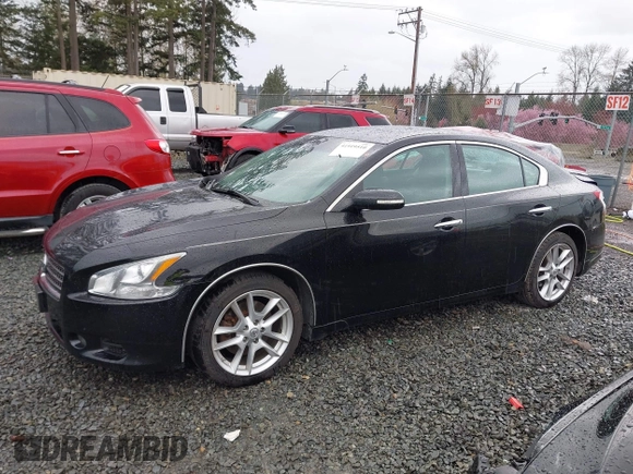 2009 Nissan Maxima SV with VIN 1N4AA51E39C856967, listed as a IAAI auction lot 41919510 with 231,933 mi miles and . Bid and sale history available at DreamBid. Image 14.