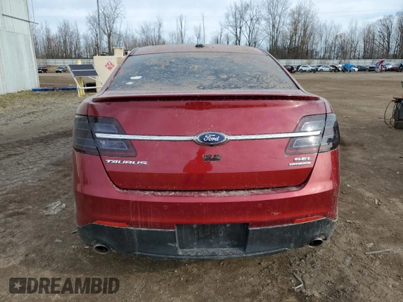 2014 Ford Taurus SEL with VIN 1FAHP2E83EG144221, listed as a Copart auction lot 49547535 with 123,574 mi miles and Clean Title. Bid and sale history available at carsss.com. Image 6.