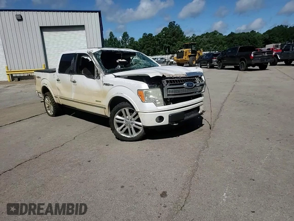 2012 Ford F-150 XL with VIN 1FTFW1ETXCFC76351, listed as a Copart auction lot 62602085 with 224,219 mi miles and Salvage title. Bid and sale history available at DreamBid. Image 13.