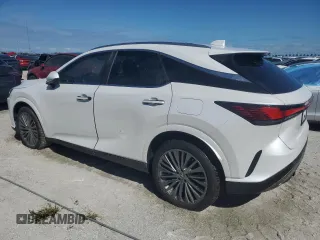 2024 Lexus RX with VIN 2T2BAMBA6RC033988, listed as a Copart auction lot 74774564 with Not Provided miles and Non Repairable. Bid and sale history available at carsss.com. Image 2.