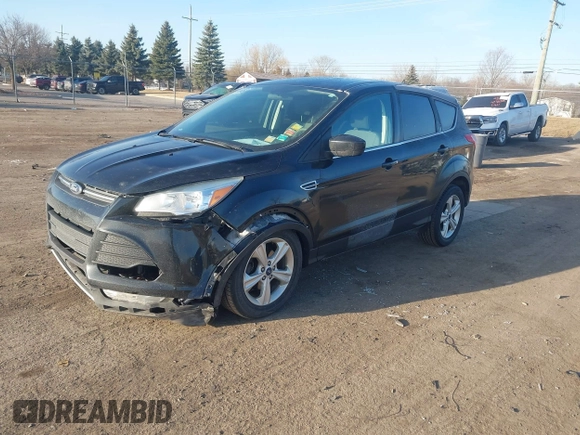 2015 Ford Escape SE with VIN 1FMCU0G79FUA40322, listed as a IAAI auction lot 41791960 with 124,543 mi miles. Bid and sale history available at carsss.com. Image 2.