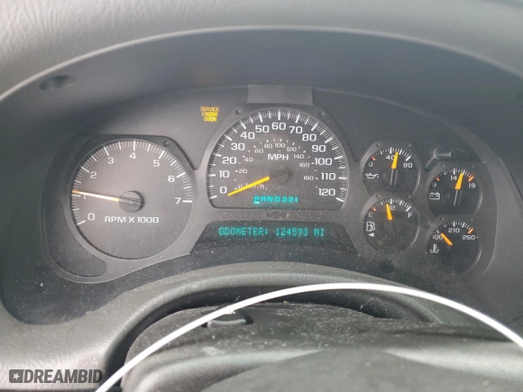 2002 Chevrolet TrailBlazer LS with VIN 1GNDT13S322351074, listed as a Copart auction lot 88994485 with 124,593 mi miles and Salvage Title. Bid and sale history available at carsss.com. Image 9.