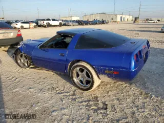 1994 Chevrolet Corvette with VIN 1G1YY22P6R5119228, listed as a Copart auction lot 45116275 with 0 mi miles and Salvage Title. Bid and sale history available at carsss.com. Image 2.