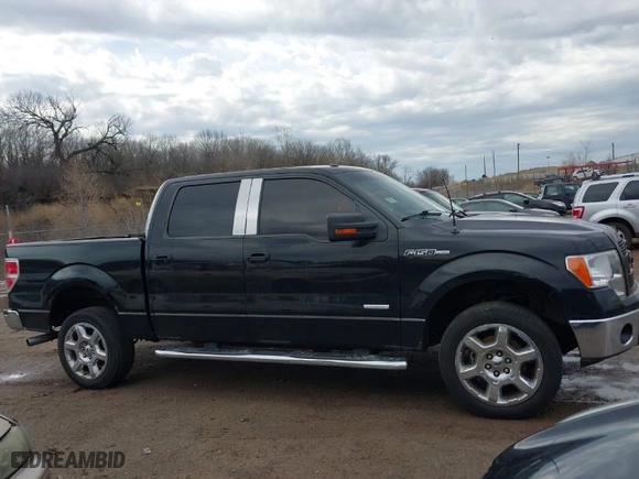 2013 Ford F-150 XL with VIN 1FTFW1ET1DFC18775, listed as a IAAI auction lot 41917133 with 166,973 mi miles. Bid and sale history available at carsss.com. Image 13.