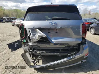 2020 Hyundai Palisade SEL with VIN KM8R4DHE9LU109343, listed as a Copart auction lot 52791105 with 51,542 mi miles and Salvage title. Bid and sale history available at DreamBid. Image 6.