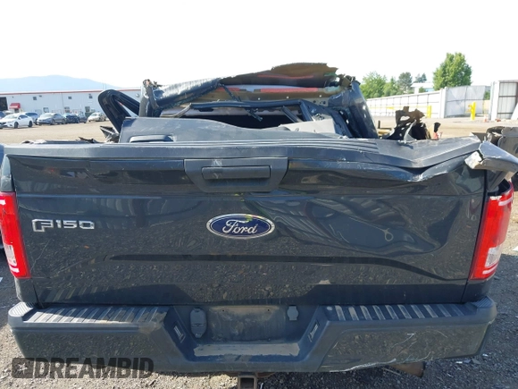 2016 Ford F-150 XLT with VIN 1FTEX1EP9GKD57799, listed as a IAAI auction lot 42432702 with 175,956 mi miles and . Bid and sale history available at DreamBid. Image 16.