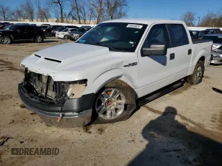 2014 Ford F-150 XL with VIN 1FTFW1CF4EKE02646, listed as a Copart auction lot 47215184 with Not Provided miles and Non Repairable. Bid and sale history available at DreamBid. Image 1.