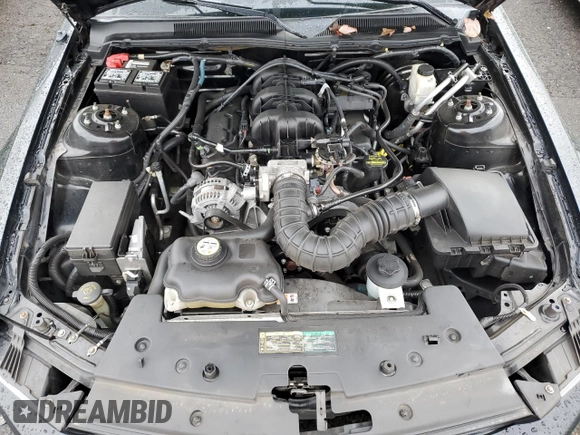 2009 Ford Mustang with VIN 1ZVHT80N195135604, listed as a Copart auction lot 42950405 with 108,450 mi miles and Salvage Title. Bid and sale history available at carsss.com. Image 11.