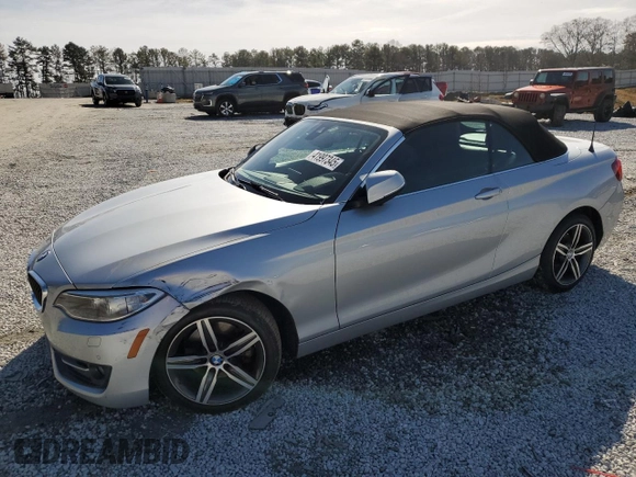 2017 BMW 2 Series 230i with VIN WBA2K9C54HV646717, listed as a Copart auction lot 41997345 with 123,963 mi miles and Salvage Title. Bid and sale history available at carsss.com. Image 1.