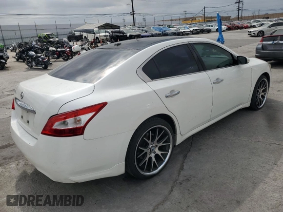 2009 Nissan Maxima SV with VIN 1N4AA51E69C809139, listed as a Copart auction lot 53791545 with 141,482 mi miles and Salvage Title. Bid and sale history available at DreamBid. Image 3.