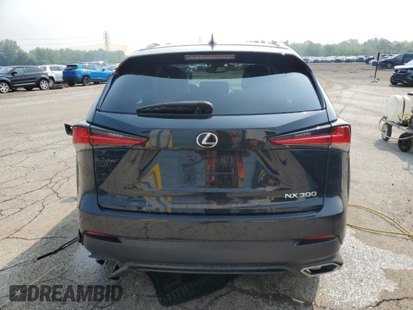 2019 Lexus NX 300 with VIN JTJBARBZ1K2210620, listed as a Copart auction lot 58600295 with 48,730 mi miles and Salvage title. Bid and sale history available at DreamBid. Image 6.