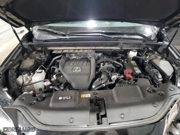 2022 Lexus NX with VIN 2T2GGCEZXNC004228, listed as a Copart auction lot 48962545 with 31,451 mi miles and Salvage Title. Bid and sale history available at carsss.com. Image 12.