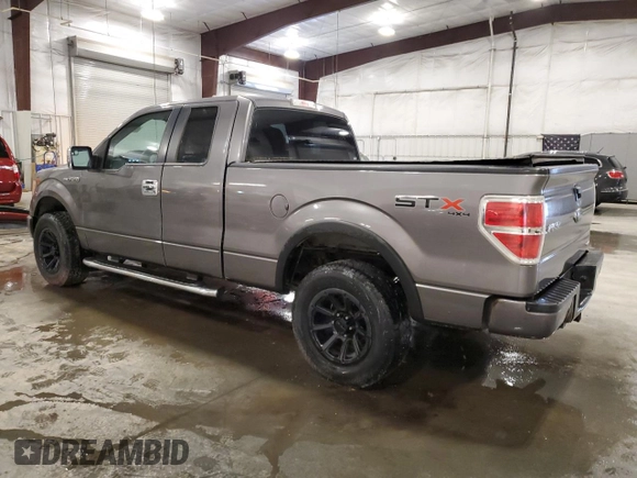 2013 Ford F-150 XL with VIN 1FTEX1EM6DFD11213, listed as a Copart auction lot 61350245 with 197,696 mi miles and Salvage title. Bid and sale history available at DreamBid. Image 2.