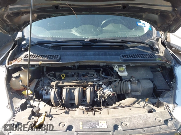 2017 Ford Escape S with VIN 1FMCU0F74HUC00725, listed as a IAAI auction lot 41970787 with 189,027 mi miles and . Bid and sale history available at DreamBid. Image 10.