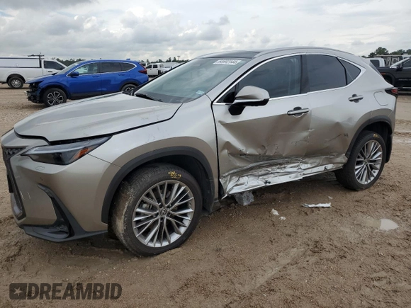 2022 Lexus NX with VIN JTJHGCEZ6N2007244, listed as a Copart auction lot 64692144 with 21,030 mi miles and Salvage Title. Bid and sale history available at carsss.com. Image 1.