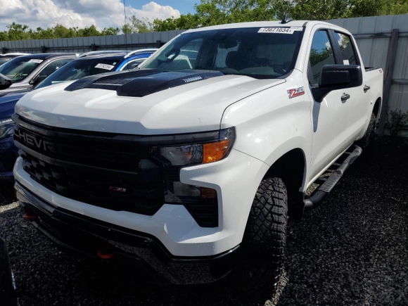 2024 Chevrolet Silverado 1500 Custom Trail Boss with VIN 3GCPDCEK5RG428461, listed as a Copart auction lot 73671034 with 0 mi miles and Non Repairable. Bid and sale history available at carsss.com. Image 1.