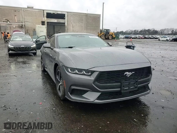 2024 Ford Mustang EcoBoost with VIN 1FA6P8TH8R5119281, listed as a Copart auction lot 49906265 with 8,024 mi miles and Salvage Title. Bid and sale history available at carsss.com. Image 11.