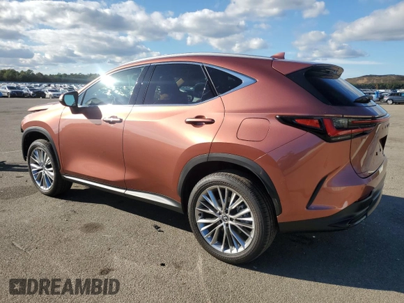 2025 Lexus NX with VIN 2T2GGCEZ7SC066651, listed as a Copart auction lot 73207444 with 1,764 mi miles and Salvage Title. Bid and sale history available at carsss.com. Image 2.
