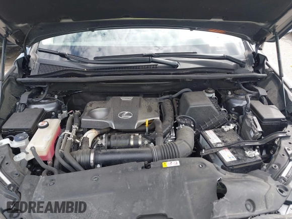2021 Lexus NX 300 with VIN JTJGARDZ8M2250070, listed as a IAAI auction lot 42183625 with 63,748 mi miles and . Bid and sale history available at DreamBid. Image 10.
