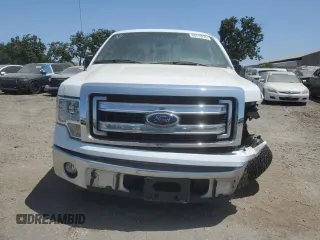 2013 Ford F-150 XL with VIN 1FTNF1CF6DKE88505, listed as a Copart auction lot 60310225 with 36,981 mi miles and Salvage title. Bid and sale history available at DreamBid. Image 5.