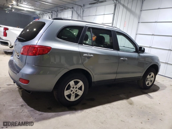 2009 Hyundai Santa Fe GLS with VIN 5NMSG13D59H240652, listed as a Copart auction lot 49662915 with 190,319 mi miles and Non Repairable. Bid and sale history available at carsss.com. Image 3.
