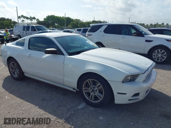 2014 Ford Mustang V6 with VIN 1ZVBP8AM1E5231243, listed as a IAAI auction lot 41730357 with 211,508 mi miles. Bid and sale history available at carsss.com. Image 1.