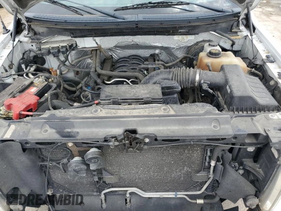 2013 Ford F-150 XL with VIN 1FTNF1CF3DKE30271, listed as a Copart auction lot 56471065 with 219,157 mi miles and Clean title. Bid and sale history available at DreamBid. Image 11.