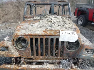 2003 Jeep Wrangler Sport with VIN 1J4FA49S93P332687, listed as a IAAI auction lot 41784329 with 1 mi miles. Bid and sale history available at carsss.com. Image 10.