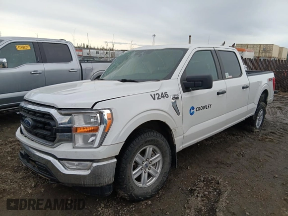 2021 Ford F-150 XL with VIN 1FTFW1E56MFA74352, listed as a Copart auction lot 53720815 with 0 mi miles and Clean Title. Bid and sale history available at carsss.com. Image 1.