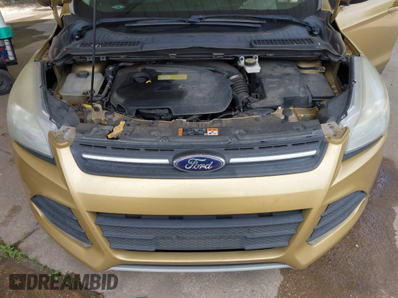 2014 Ford Escape SE with VIN 1FMCU9GX2EUC04173, listed as a IAAI auction lot 42745018 with Not provided miles and . Bid and sale history available at DreamBid. Image 10.