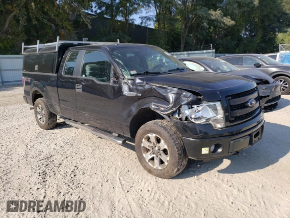 2014 Ford F-150 XL with VIN 1FTEX1EM0EKG54253, listed as a Copart auction lot 70742144 with 102,649 mi miles and Non Repairable. Bid and sale history available at carsss.com. Image 4.