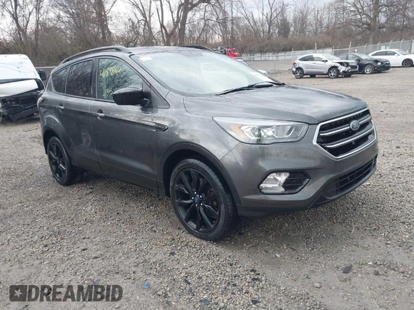 2017 Ford Escape SE with VIN 1FMCU0G97HUE53859, listed as a IAAI auction lot 41898162 with 79,619 mi miles. Bid and sale history available at carsss.com. Image 1.