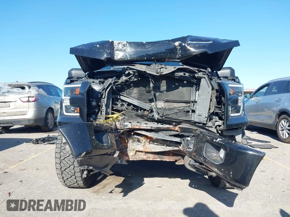 2017 Ford F-150 XL with VIN 1FTEW1EF2HKC96338, listed as a IAAI auction lot 41973507 with 117,342 mi miles. Bid and sale history available at carsss.com. Image 6.