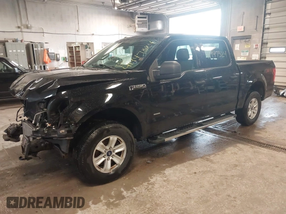 2016 Ford F-150 XLT with VIN 1FTEW1EG3GFB29227, listed as a IAAI auction lot 41947324 with 172,608 mi miles. Bid and sale history available at carsss.com. Image 2.
