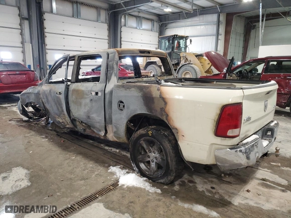 2010 Dodge Ram 1500 SLT with VIN 1D7RV1CT1AS230050, listed as a Copart auction lot 44430295 with 0 mi miles and Salvage Title. Bid and sale history available at carsss.com. Image 2.