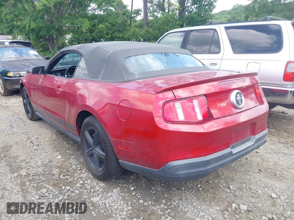 2010 Ford Mustang V6 with VIN 1ZVBP8EN4A5175330, listed as a IAAI auction lot 42191750 with 111,339 mi miles and . Bid and sale history available at carsss.com. Image 3.