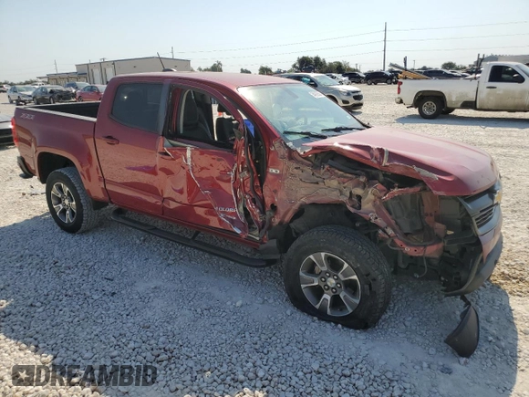 2019 Chevrolet Colorado 2WD Z71 with VIN 1GCGSDEN7K1300135, listed as a Copart auction lot 74929894 with Not Provided miles and Salvage Title. Bid and sale history available at carsss.com. Image 4.