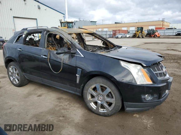 2012 Cadillac SRX Premium Collection with VIN 3GYFNFE31CS625015, listed as a Copart auction lot 53282135 with Not provided miles and Non repairable. Bid and sale history available at DreamBid. Image 4.