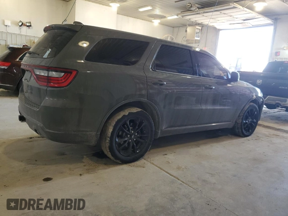 2020 Dodge Durango R/T with VIN 1C4SDJCT8LC283842, listed as a Copart auction lot 46601335 with 124,587 mi miles and Salvage title. Bid and sale history available at DreamBid. Image 3.