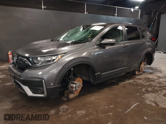 2020 Honda CR-V EX with VIN 5J6RW2H59LL013800, listed as a IAAI auction lot 41604504 with 1 mi miles. Bid and sale history available at carsss.com. Image 2.